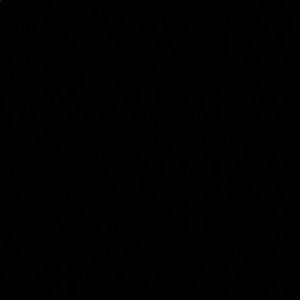 Meet your Posher, Alison